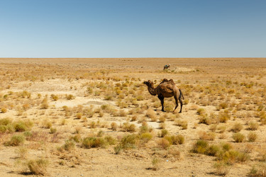 Similar image 21433685