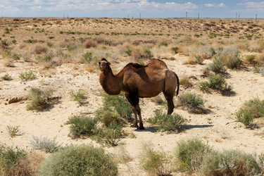 Similar image 21433689