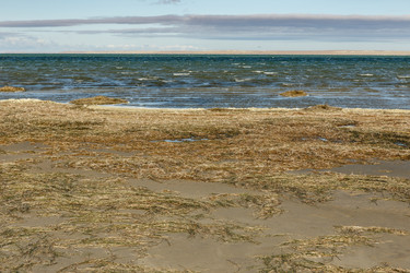 Similar image 21433704