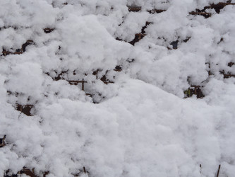 Similar image 21433708