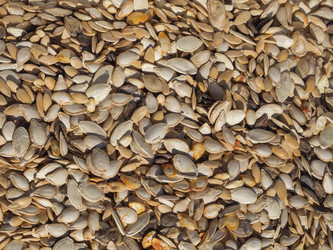 Similar image 21433712