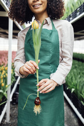 Similar image 21464730