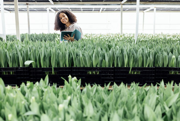 Similar image 21464731