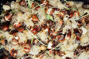 Similar image 21464736