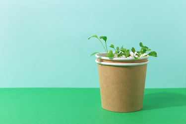 Similar image 21436094