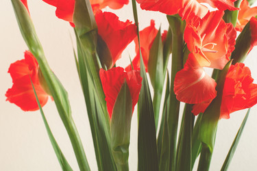 Similar image 21436095