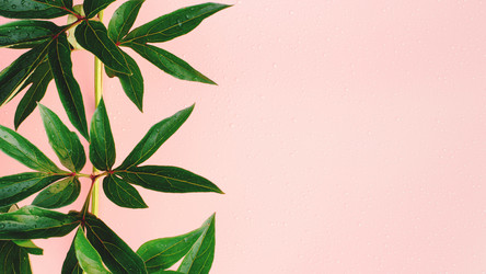 Similar image 21436096