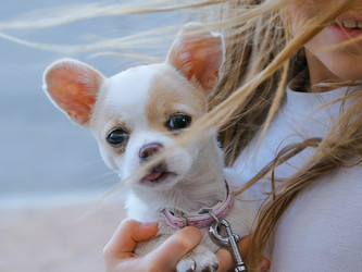 Similar image 21433914