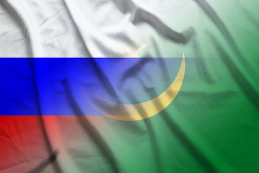 Similar image 21476492