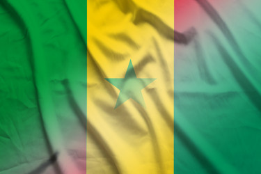 Similar image 21462839