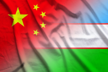 Similar image 21476555