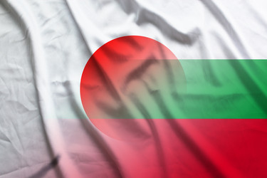 Similar image 21476621