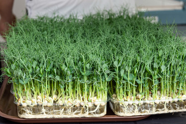 Similar image 21434734