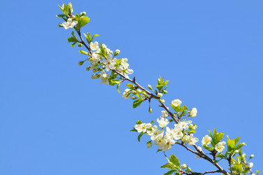 Similar image 21434783