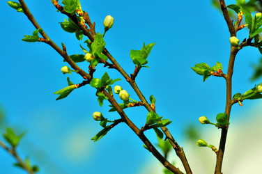 Similar image 21434785