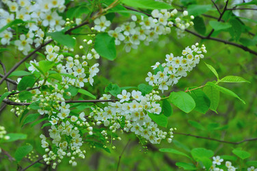 Similar image 21434786