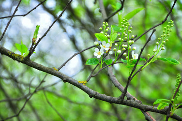 Similar image 21434787