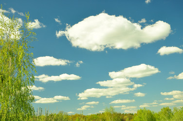 Similar image 21434789