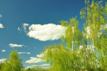 Similar image 21434790