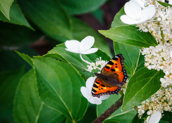 Similar image 21434797