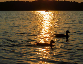 Similar image 21434802