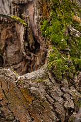 Similar image 21434803