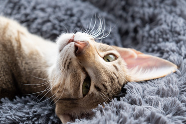 Similar image 21437971