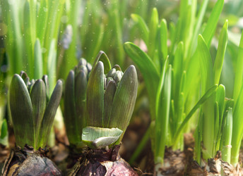 Similar image 21434809