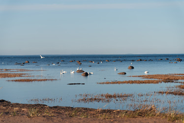 Similar image 21434816