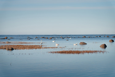 Similar image 21434832