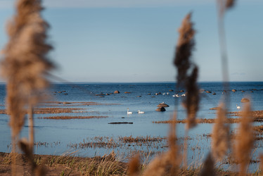 Similar image 21434833