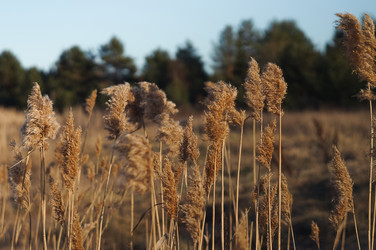 Similar image 21434835