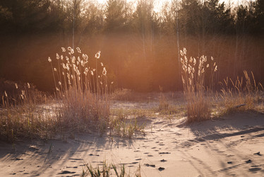 Similar image 21434836