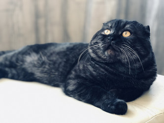 Similar image 21434837