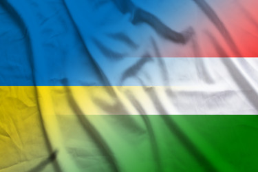 Similar image 21462979