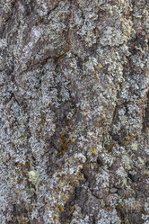 Similar image 21434898