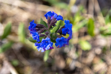 Similar image 21434904