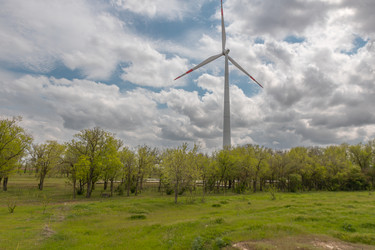 Similar image 21434907