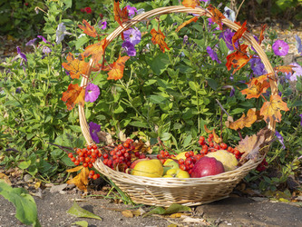 Similar image 21434936