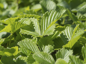 Similar image 21434937