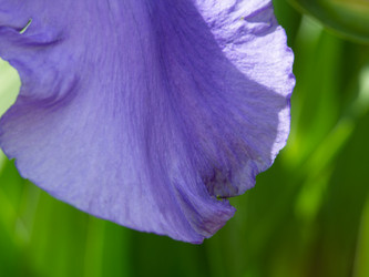 Similar image 21434942