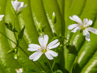 Similar image 21434944