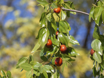 Similar image 21434947