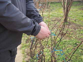 Similar image 21435430