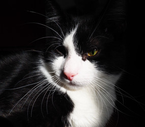 Similar image 21435442