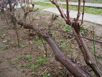 Similar image 21435443