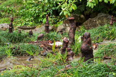 Similar image 21435458