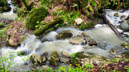 Similar image 21435461