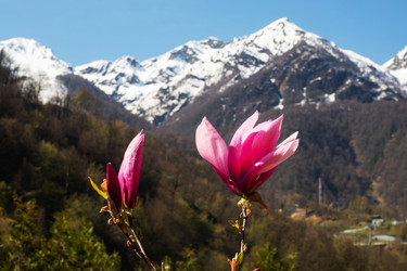 Similar image 21434952