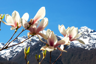 Similar image 21434953